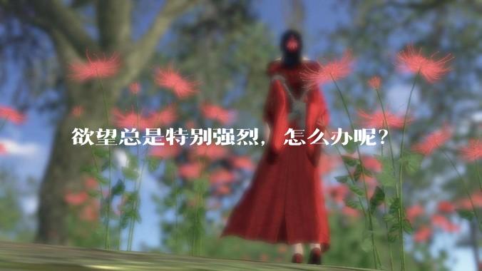 欲望总是特别强烈，怎么办呢？