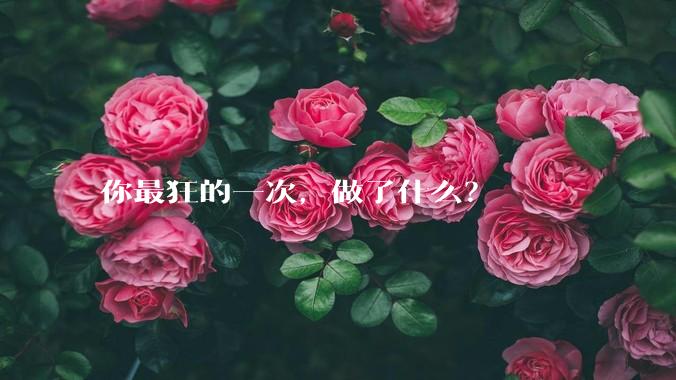 你最狂的一次，做了什么？