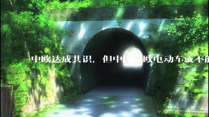 中欧达成共识，但中国输欧电动车或不能低于29万，29万的车在欧洲有竞争力吗？