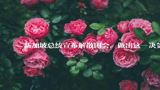 新加坡总统宣布解散国会，做出这一决策出于哪些因素的考量？