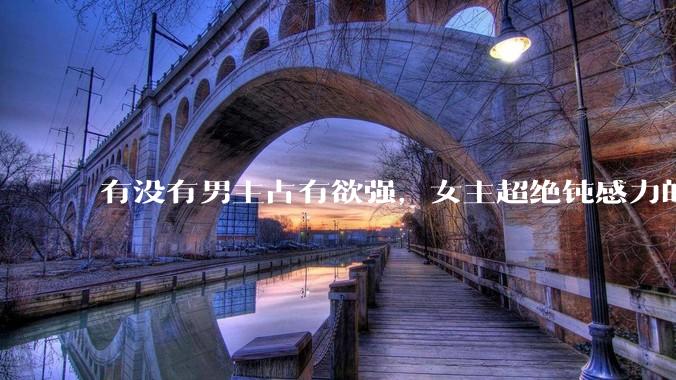 有没有男主占有欲强，女主超绝钝感力的文？