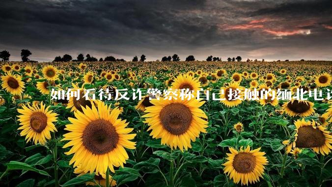 如何看待反诈警察称自己接触的缅北电诈人员案例里，95%的人都是自愿过去的？