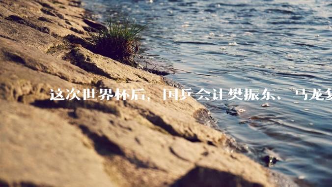 这次世界杯后，国乒会让樊振东、马龙复出吗？